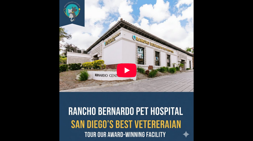 Rancho Bernardo Vet Hospital